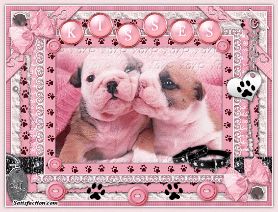 Graphics, Graficos e Glitters Para Orkut